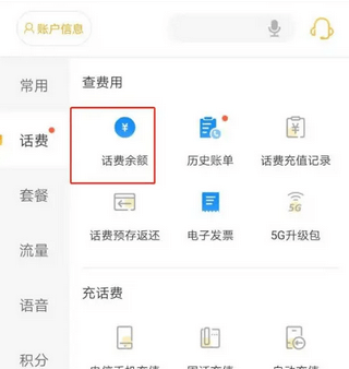 电信话费查询
