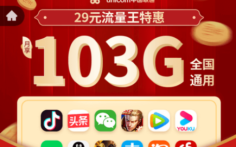 联通流量王29元特惠版截图