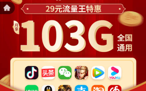 联通29元流量王特惠版截图