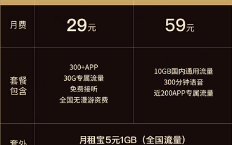 联通大王卡资费说明截图