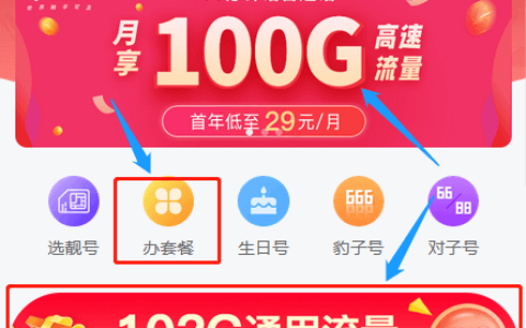 联通29元100g流量卡截图展示