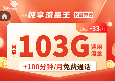 纯享流量王套餐截图