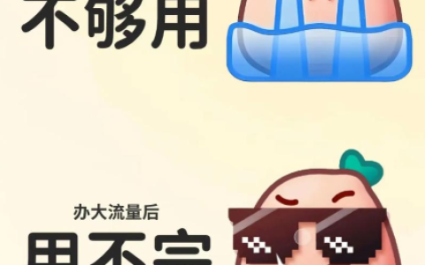 正规流量卡申请入口｜2026 最新办理教程，小白零踩坑，附避坑技巧